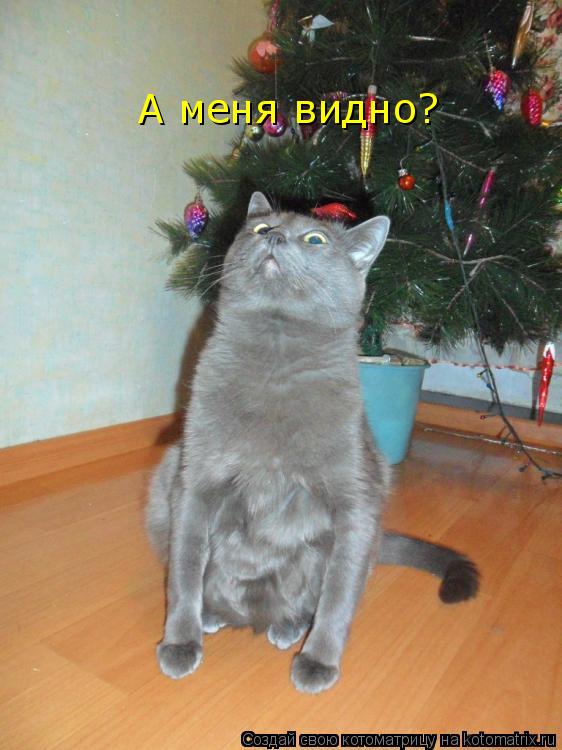 А меня видно?... Котоматрица: А меня видно?