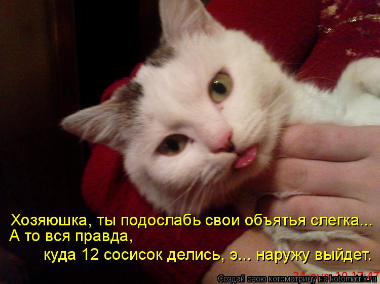 Хозяюшка, ты подослабь свои объятья слегка... А то вся правда, куда 12 сосисок делись, э... наружу вы... Котоматрица: Хозяюшка, ты подослабь свои объятья слегка... А то вся правда, куда 12 сосисок делись, э... наружу выйдет.
