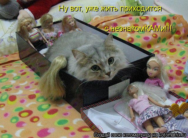 Ну вот, уже жить приходится с незнакомКАМи!!!... Котоматрица: Ну вот, уже жить приходится с незнакомКАМи!!!