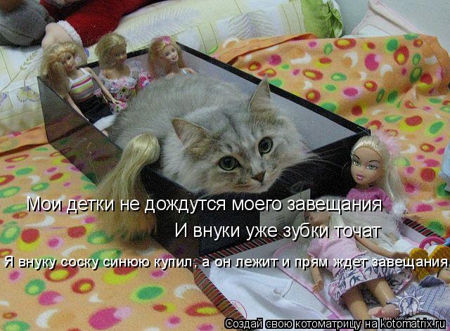 Мои детки не дождутся моего завещания И внуки уже зубки точат Я внуку соску синюю купил, а он лежит и... Котоматрица: Мои детки не дождутся моего завещания И внуки уже зубки точат Я внуку соску синюю купил, а он лежит и прям ждет завещания