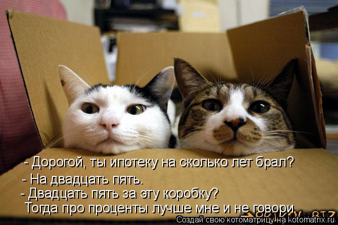 - Дорогой, ты ипотеку на сколько лет брал? - На двадцать пять. - Двадцать пять за эту коробку? Тогда ... Котоматрица: - Дорогой, ты ипотеку на сколько лет брал? - На двадцать пять. - Двадцать пять за эту коробку? Тогда про проценты лучше мне и не говори.