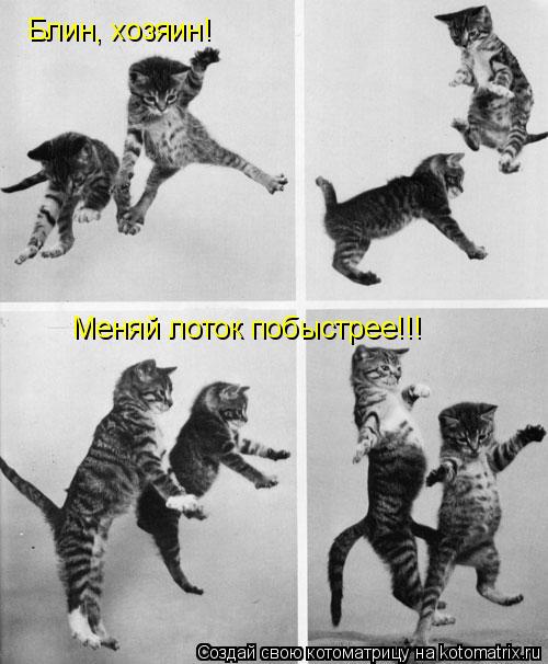 Блин, хозяин! Меняй лоток побыстрее!!!... Котоматрица: Блин, хозяин! Меняй лоток побыстрее!!!