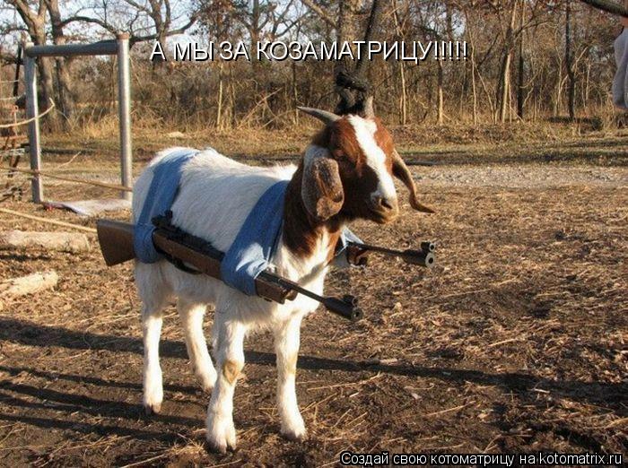 А МЫ ЗА КОЗАМАТРИЦУ!!!!! /////... Котоматрица: А МЫ ЗА КОЗАМАТРИЦУ!!!!! /////