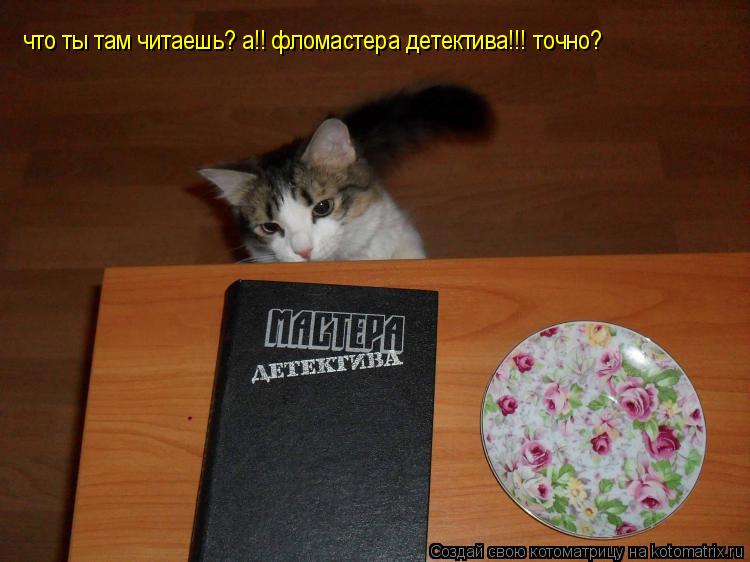 что ты там читаешь? а!! фломастера детектива!!! точно?... Котоматрица: что ты там читаешь? а!! фломастера детектива!!! точно?