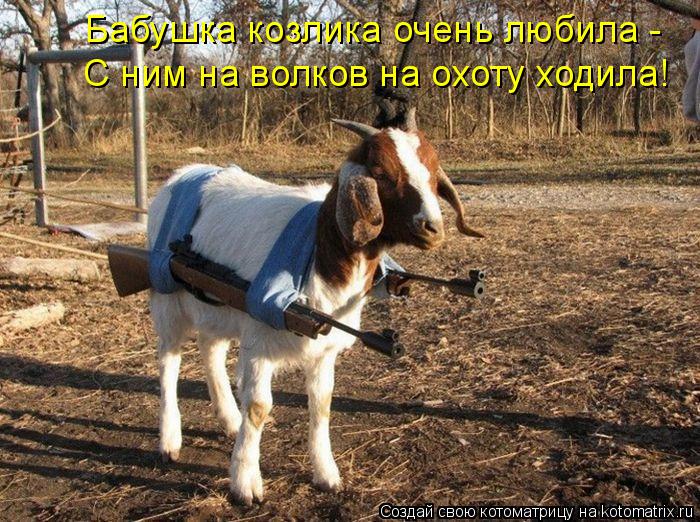 Бабушка козлика очень любила - С ним на волков на охоту ходила!... Котоматрица: Бабушка козлика очень любила - С ним на волков на охоту ходила!
