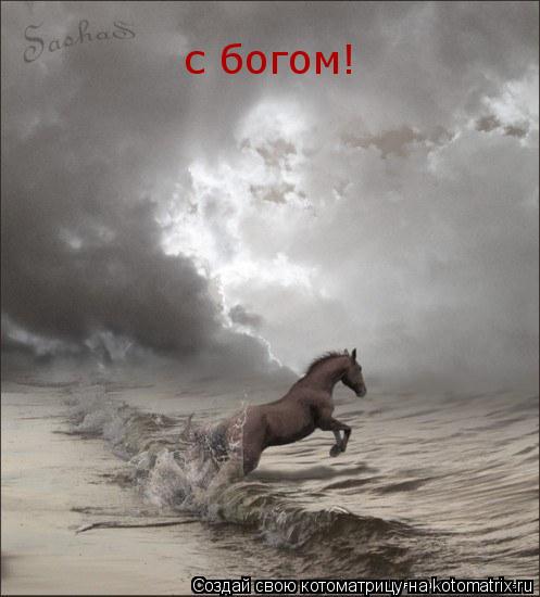 с богом!... Котоматрица: с богом!