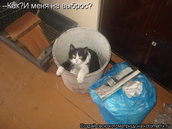 --Как?И меня на выброс?... Котоматрица: --Как?И меня на выброс?