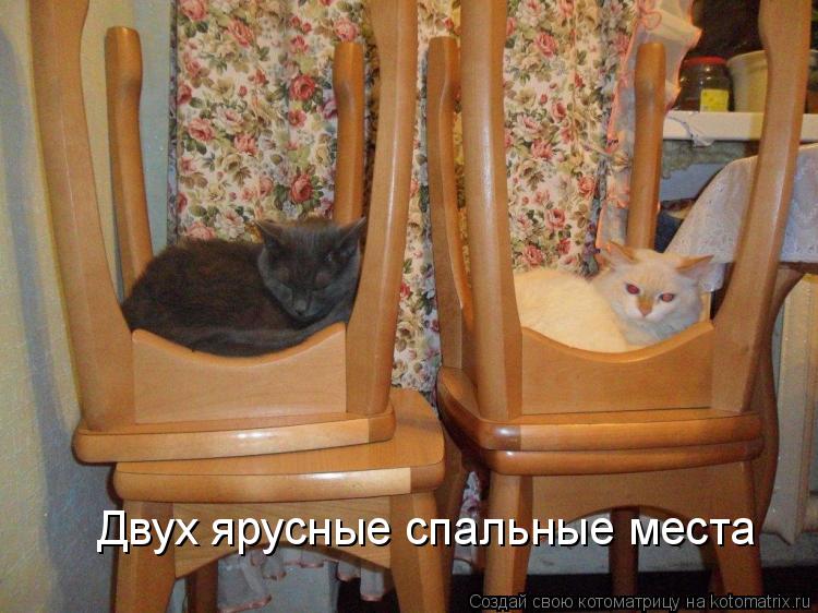Двух ярусные спальные места... Котоматрица: Двух ярусные спальные места