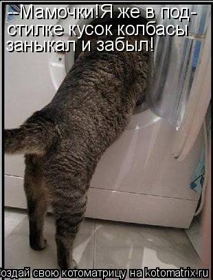 --Мамочки!Я же в под- стилке кусок колбасы заныкал и забыл!... Котоматрица: --Мамочки!Я же в под- стилке кусок колбасы заныкал и забыл!