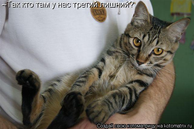 --Так кто там у нас третий лишний?... Котоматрица: --Так кто там у нас третий лишний?