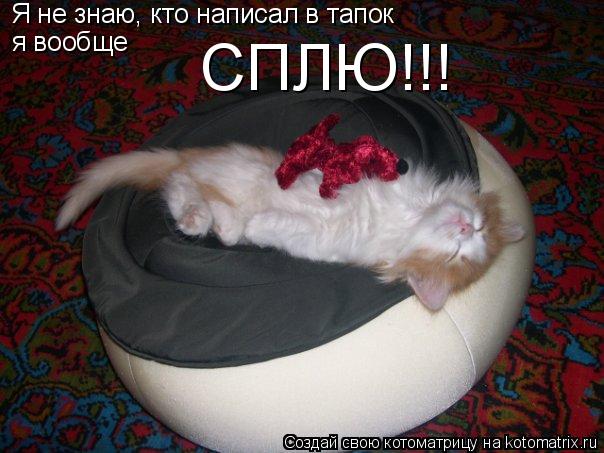 Котоматрица: Я не знаю, кто написал в тапок я вообще  СПЛЮ!!!
