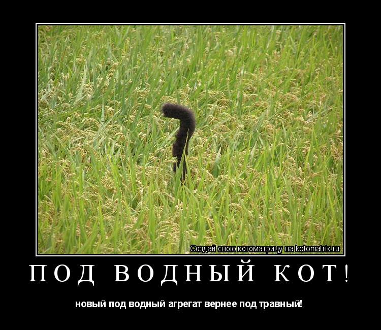 под водный кот! новый под водный агрегат вернее под травный! ... Котоматрица: под водный кот! новый под водный агрегат вернее под травный!