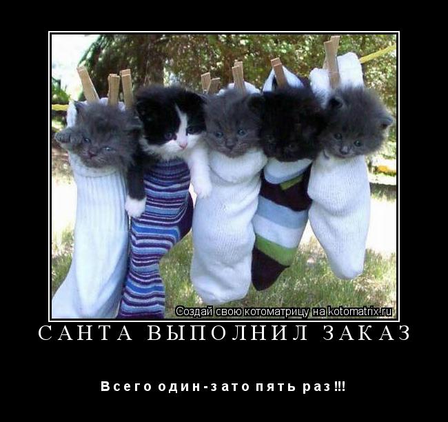 Санта выполнил заказ В с е г о о д и н - з а т о п я т ь р а з !!!... Котоматрица: Санта выполнил заказ В с е г о о д и н - з а т о п я т ь р а з !!!