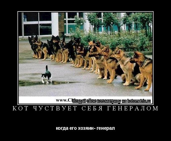 кот чуствует себя генералом когда его хозяин- генерал... Котоматрица: кот чуствует себя генералом когда его хозяин- генерал