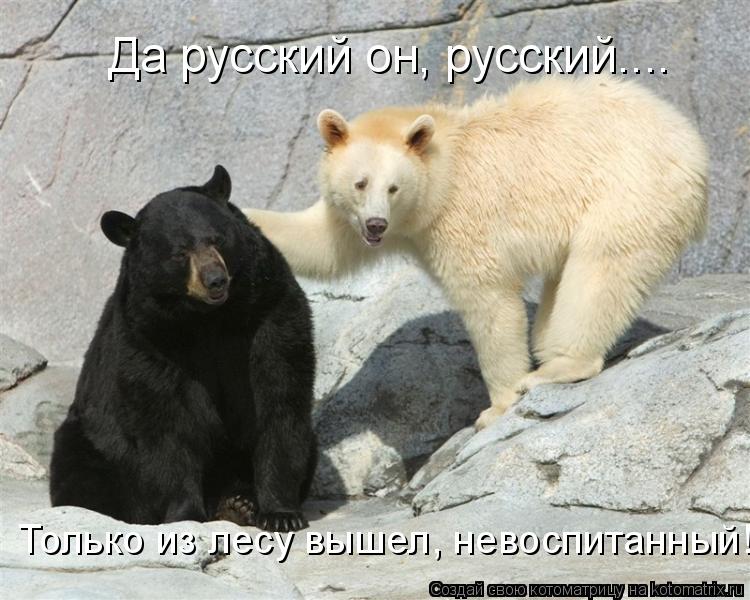 Котоматрица: Да русский он, русский.... Только из лесу вышел, невоспитанный!