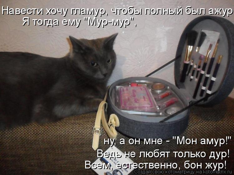 Навести хочу гламур, чтобы полный был ажур. Я тогда ему "Мур-мур", ну, а он мне - "Мон амур!" Ведь н... Котоматрица: Навести хочу гламур, чтобы полный был ажур. Я тогда ему "Мур-мур", ну, а он мне - "Мон амур!" Ведь не любят только дур! Всем, естественно, бон жур!