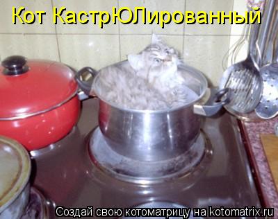 Кот КастрЮЛированный... Котоматрица: Кот КастрЮЛированный