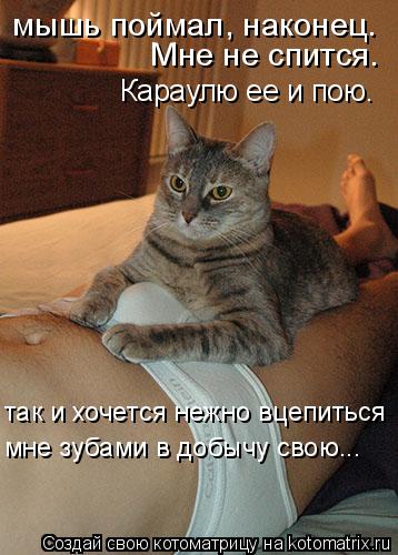 так и хочется нежно вцепиться мне зубами в добычу свою... мышь поймал, наконец. Мне не спится. Кар... Котоматрица: так и хочется нежно вцепиться мне зубами в добычу свою... мышь поймал, наконец. Мне не спится. Караулю ее и пою.