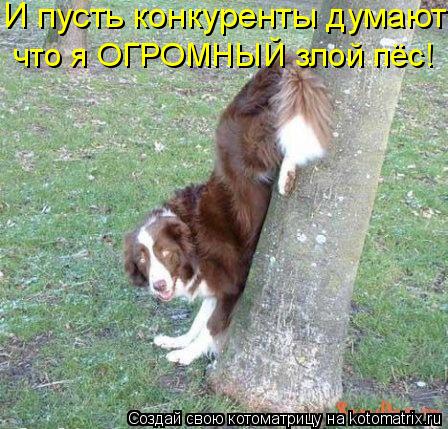 И пусть конкуренты думают что я ОГРОМНЫЙ злой пёс!... Котоматрица: И пусть конкуренты думают что я ОГРОМНЫЙ злой пёс!