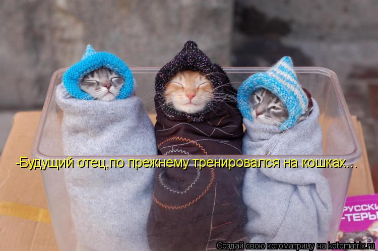 -Будущий отец,по прежнему тренировался на кошках...... Котоматрица: -Будущий отец,по прежнему тренировался на кошках...