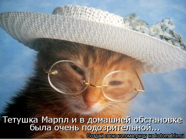 Тетушка Марпл и в домашней обстановке была очень подозрительной...... Котоматрица: Тетушка Марпл и в домашней обстановке была очень подозрительной...