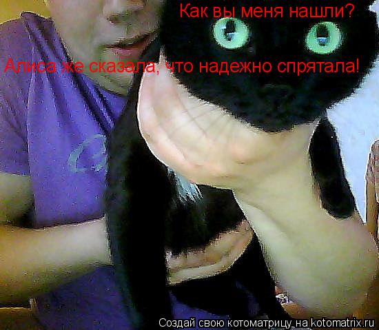 Как вы меня нашли? Алиса же сказала, что надежно спрятала!... Котоматрица: Как вы меня нашли? Алиса же сказала, что надежно спрятала!