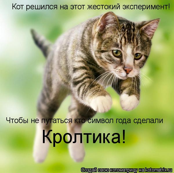 Кот решился на этот жестокий эксперимент! Чтобы не путаться кто символ года сделали Кролтика!... Котоматрица: Кот решился на этот жестокий эксперимент! Чтобы не путаться кто символ года сделали Кролтика!