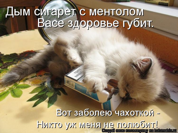 Дым сигарет с ментолом Васе здоровье губит. Вот заболею чахоткой - Никто уж меня не полюбит!... Котоматрица: Дым сигарет с ментолом Васе здоровье губит. Вот заболею чахоткой - Никто уж меня не полюбит!