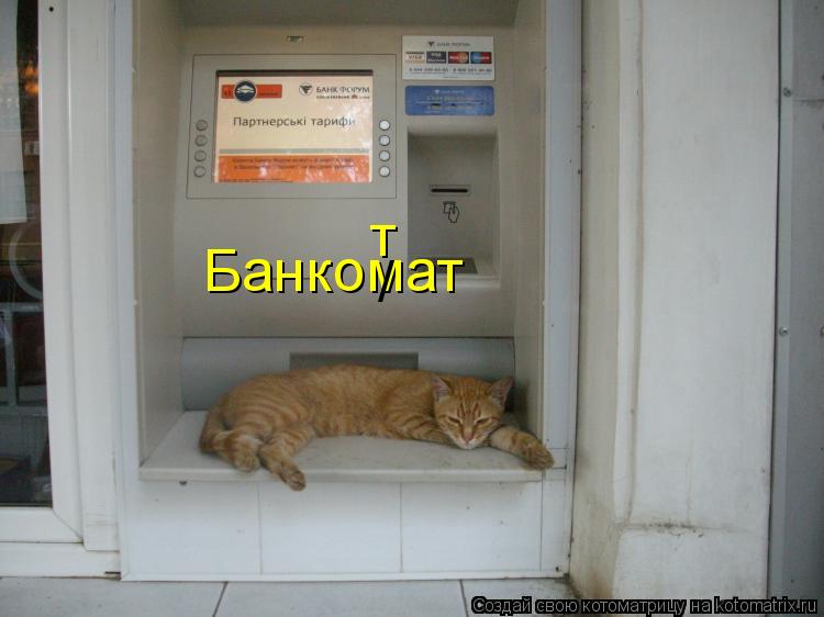 Банкомат / т... Котоматрица: Банкомат / т