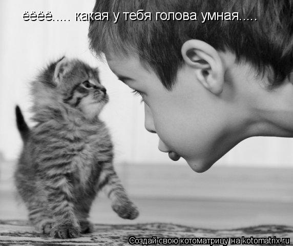 ёёёё..... какая у тебя голова умная........ Котоматрица: ёёёё..... какая у тебя голова умная.....