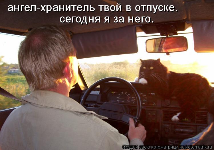 ангел-хранитель твой в отпуске. сегодня я за него.... Котоматрица: ангел-хранитель твой в отпуске. сегодня я за него.