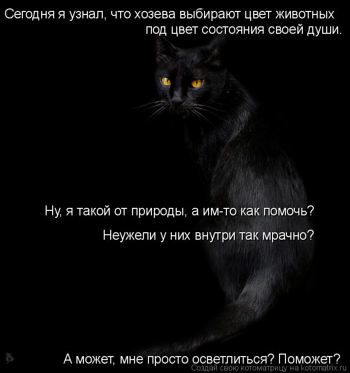 Сегодня я узнал, что хозева выбирают цвет животных под цвет состояния своей души. Ну, я такой от прир... Котоматрица: Сегодня я узнал, что хозева выбирают цвет животных под цвет состояния своей души. Ну, я такой от природы, а им-то как помочь? Неужели у них вну