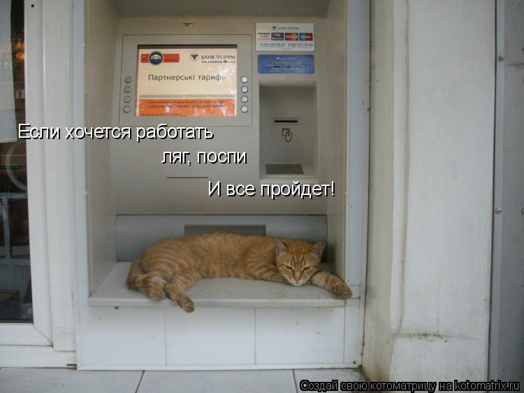 Котоматрица: Если хочется работать ляг, поспи И все пройдет!