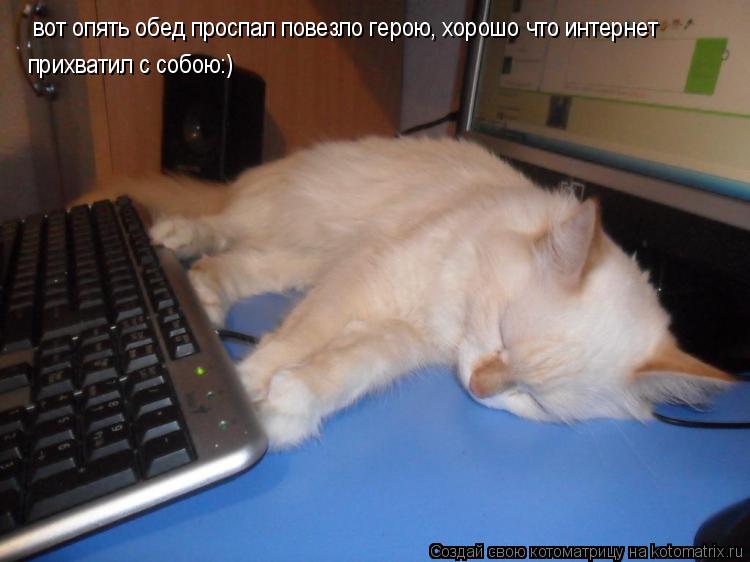 вот опять обед проспал повезло герою, хорошо что интернет прихватил с собою:)... Котоматрица: вот опять обед проспал повезло герою, хорошо что интернет прихватил с собою:)