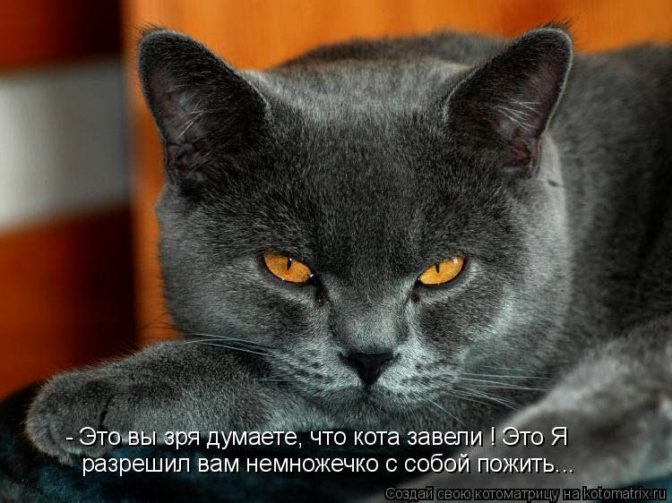 - Это вы зря думаете, что кота завели ! Это Я разрешил вам немножечко с собой пожить...... Котоматрица: - Это вы зря думаете, что кота завели ! Это Я разрешил вам немножечко с собой пожить...