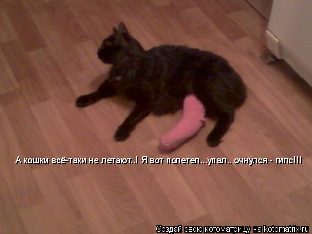 А кошки всё-таки не летают..! Я вот полетел...упал...очнулся - гипс!!!... Котоматрица: А кошки всё-таки не летают..! Я вот полетел...упал...очнулся - гипс!!!