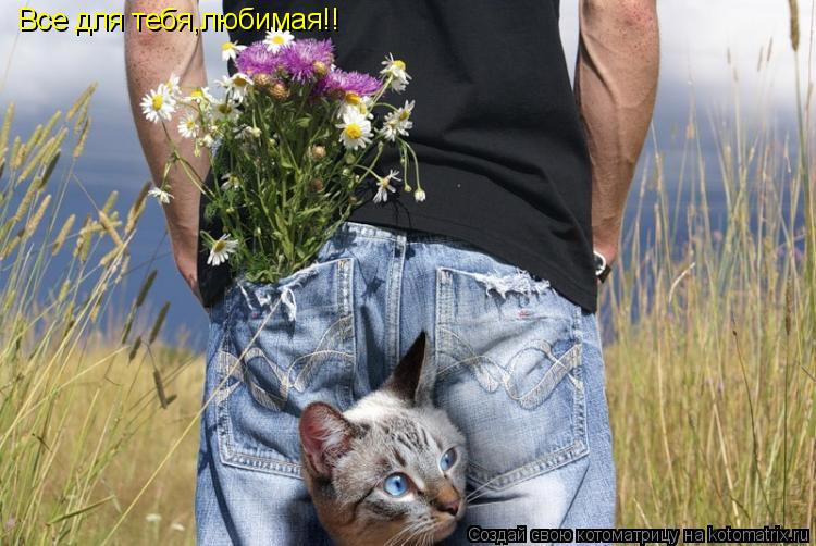 Все для тебя,любимая!!... Котоматрица: Все для тебя,любимая!!