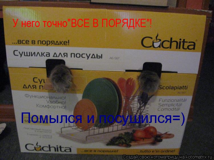 У него точно"ВСЕ В ПОРЯДКЕ"! Помылся и посушился=)... Котоматрица: У него точно"ВСЕ В ПОРЯДКЕ"! Помылся и посушился=)
