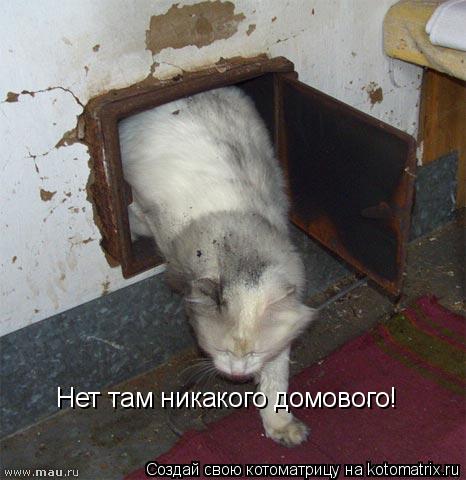 Нет там никакого домового!... Котоматрица: Нет там никакого домового!