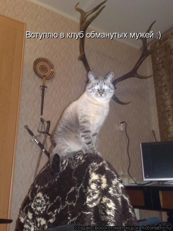 Вступлю в клуб обманутых мужей ;)... Котоматрица: Вступлю в клуб обманутых мужей ;)