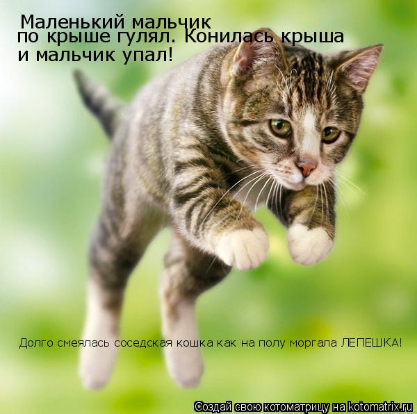 l Маленький мальчик по крыше гулял. Конилась крыша и мальчик упал! Долго смеялась соседская кошка как... Котоматрица: l Маленький мальчик по крыше гулял. Конилась крыша и мальчик упал! Долго смеялась соседская кошка как на полу моргала ЛЕПЕШКА!