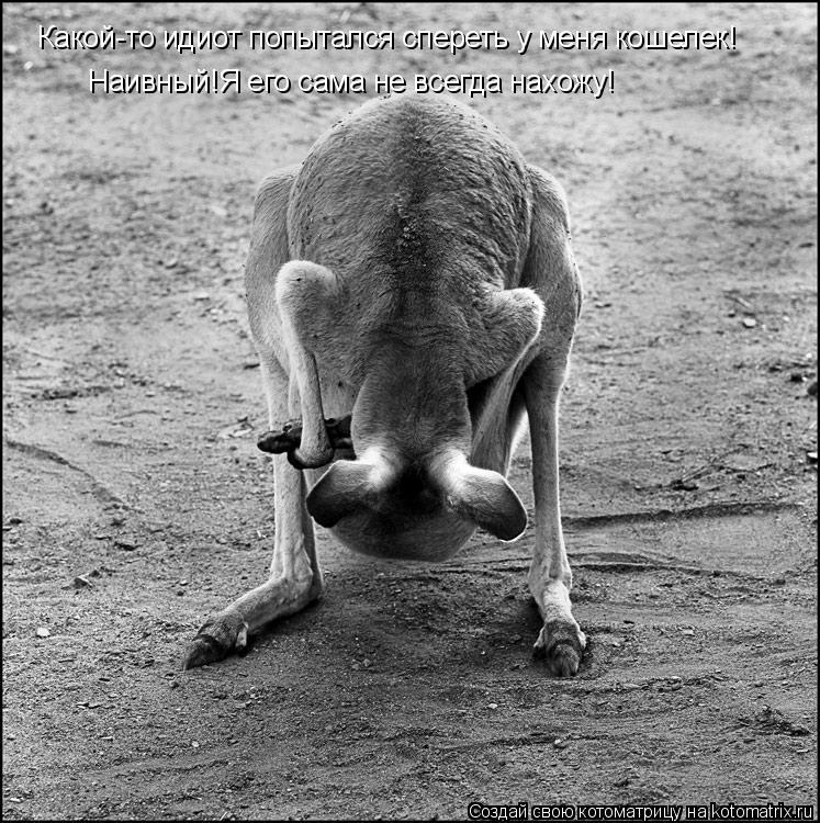 Какой-то идиот попытался спереть у меня кошелек! Наивный!Я его сама не всегда нахожу!... Котоматрица: Какой-то идиот попытался спереть у меня кошелек! Наивный!Я его сама не всегда нахожу!