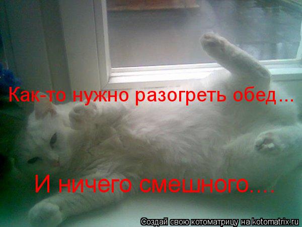 Как-то нужно разогреть обед... И ничего смешного....... Котоматрица: Как-то нужно разогреть обед... И ничего смешного....