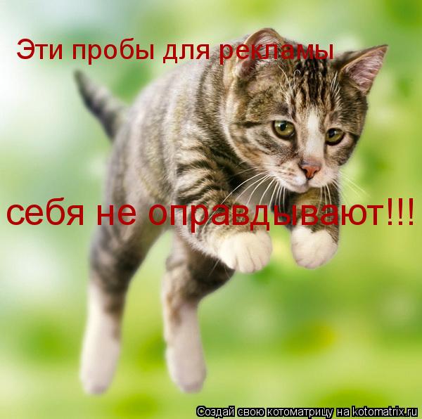 Эти пробы для рекламы себя не оправдывают!!!... Котоматрица: Эти пробы для рекламы себя не оправдывают!!!