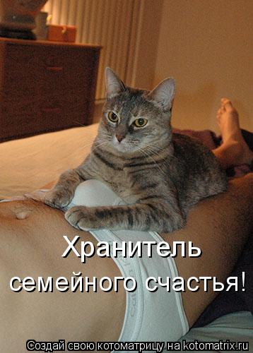 Хранитель семейного счастья!... Котоматрица: Хранитель семейного счастья!