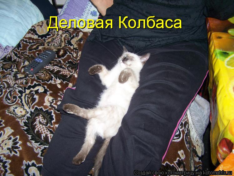 Деловая Колбаса... Котоматрица: Деловая Колбаса
