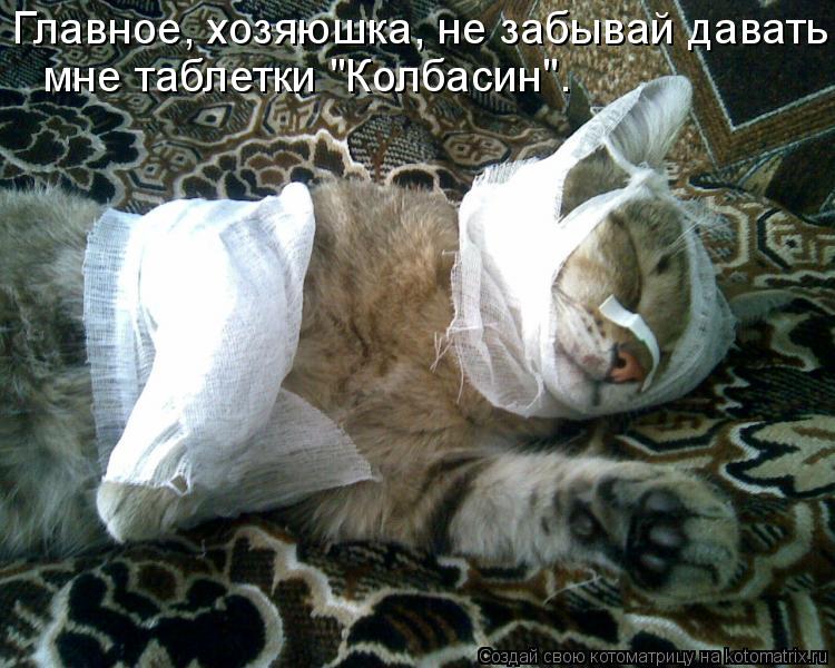 мне таблетки "Колбасин". Главное, хозяюшка, не забывай давать... Котоматрица: мне таблетки "Колбасин". Главное, хозяюшка, не забывай давать