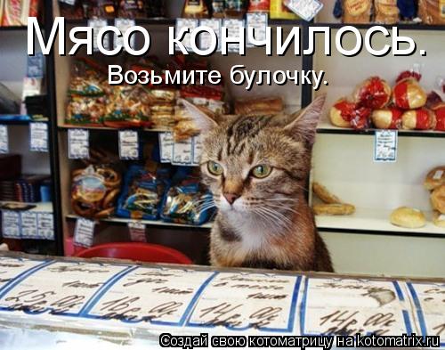 Мясо кончилось. Возьмите булочку.... Котоматрица: Мясо кончилось. Возьмите булочку.