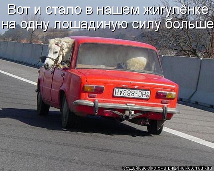 Вот и стало в нашем жигулёнке на одну лошадиную силу больше.... Котоматрица: Вот и стало в нашем жигулёнке на одну лошадиную силу больше.