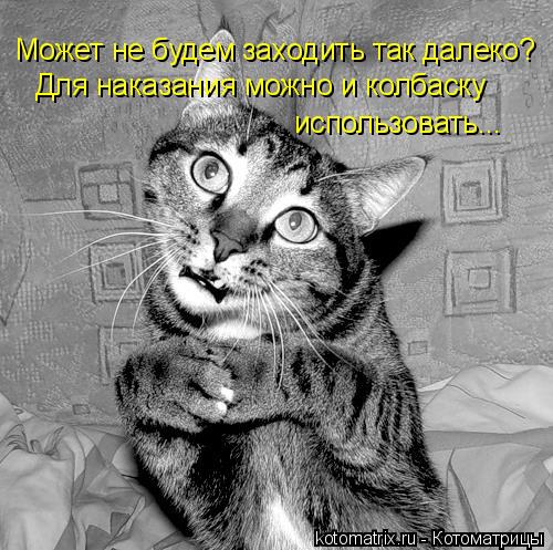 Может не будем заходить так далеко? Для наказания можно и колбаску использовать... Для наказания можн... Котоматрица: Может не будем заходить так далеко? Для наказания можно и колбаску использовать... Для наказания можно и колбаску использовать...